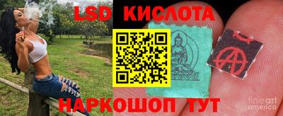 шишки Бузулук
